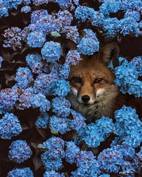 Nothing says HAPPY WEEKEND like free UK delivery...