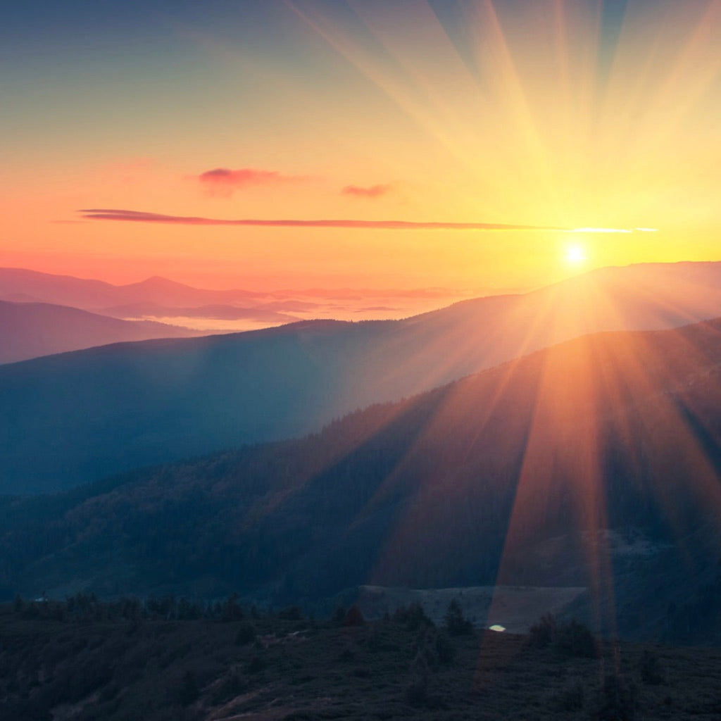 Everybody's Free - a song to start the new year.