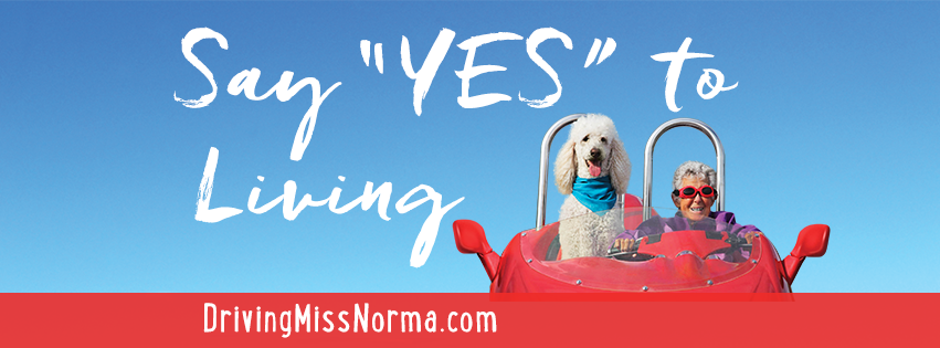Driving Miss Norma... "Say Yes to Living".