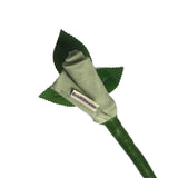 Sage Green Chemotherapy Gift UK